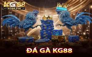 Đá Gà KG88